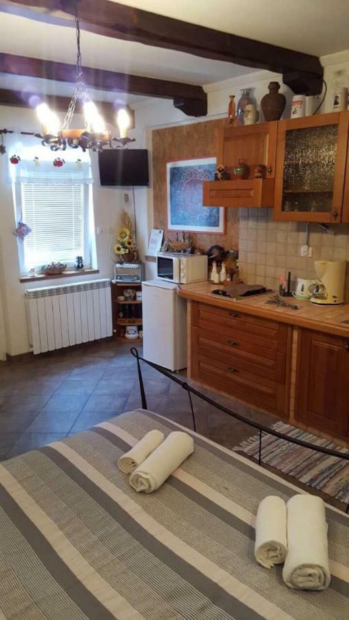Apartman Ruza 3 Poljane المظهر الخارجي الصورة